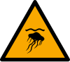 Señal ISO 7010 W069: Medusas